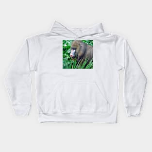 Mandrill Kids Hoodie